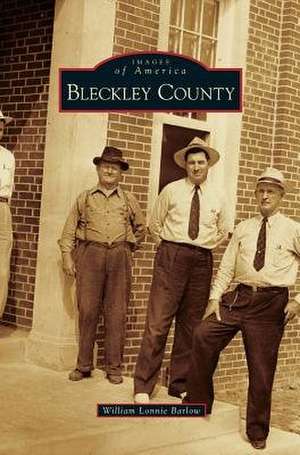 Bleckley County de William Lonnie Barlow