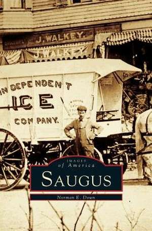 Saugus de Norman E. Down
