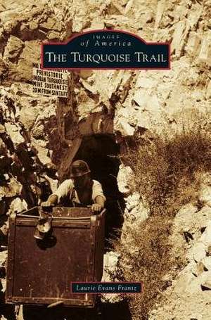 Turquoise Trail de Laurie Evans Frantz