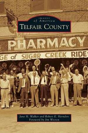 Telfair County de Jane H. Walker