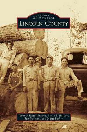 Lincoln County de Tammie Santos Brewer