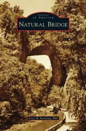 Natural Bridge de Ernst H. Kastning