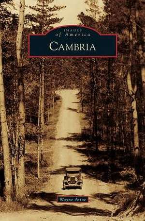 Cambria de Wayne Attoe