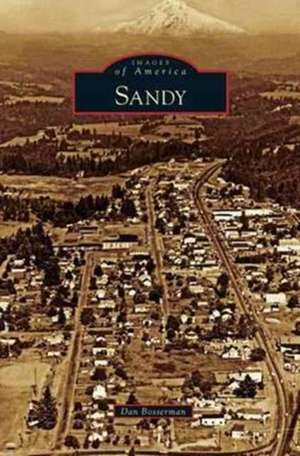 Sandy de Dan Bosserman