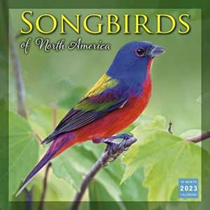 SONGBIRDS OF NORTH AMERICA de SELLERS PUBLISHING