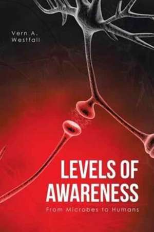 Levels of Awareness de Vern A. Westfall