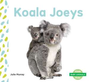 Koala Joeys de Julie Murray