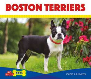 Boston Terriers de Katie Lajiness