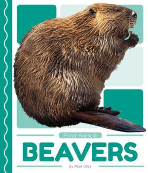 Beavers de Matt Lilley