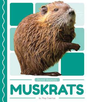 Muskrats de Meg Gaertner