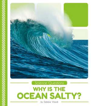 Why Is the Ocean Salty? de Debbie Vilardi