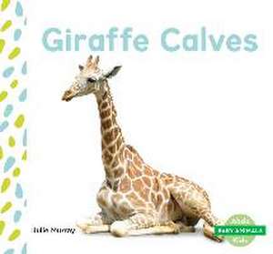 GIRAFFE CALVES
