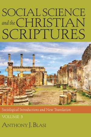 Social Science and the Christian Scriptures, Volume 3 de Anthony J. Blasi