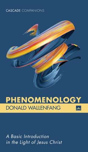 Phenomenology de Donald Wallenfang