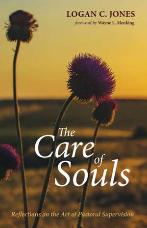 The Care of Souls de Logan C. Jones