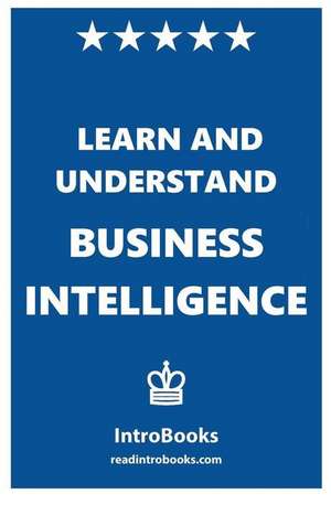 Learn and Understand Business Intelligence de Introbooks