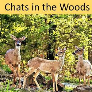 Chats in the Woods de Angie Owens Bennett