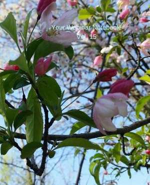 Your Webinar Notebook! Vol. 15 de Mary Hirose