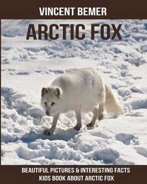Arctic Fox de Vincent Bemer
