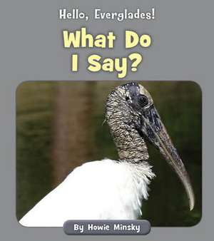 What Do I Say? de Howie Minsky