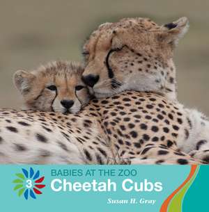 Cheetah Cubs de Susan H. Gray