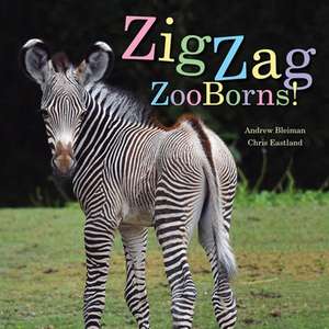 Zigzag Zooborns! de Andrew Bleiman