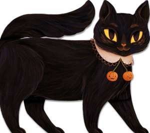 One Black Cat de Robie Rogge