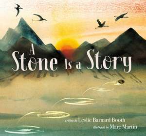 A Stone Is a Story de Leslie Barnard Booth