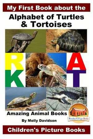 My First Book about the Alphabet of Turtles & Tortoises - Amazing Animal Books - Children's Picture Books de Molly Davidson