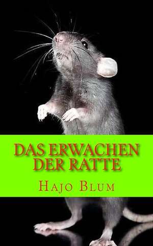 Das Erwachen Der Ratte de Hajo Blum