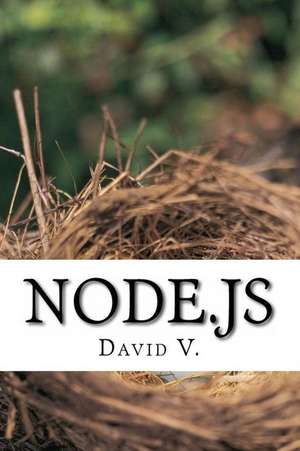 Node.Js de David V