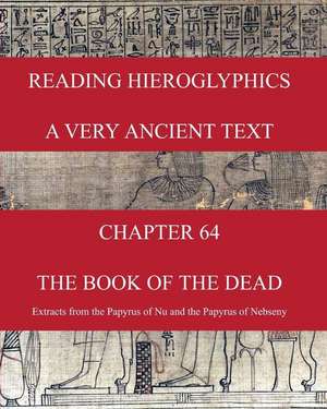 Reading Hieroglyphics - A Very Ancient Text de Bernard Paul Badham