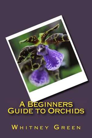 A Beginners Guide to Orchids de Whitney Green