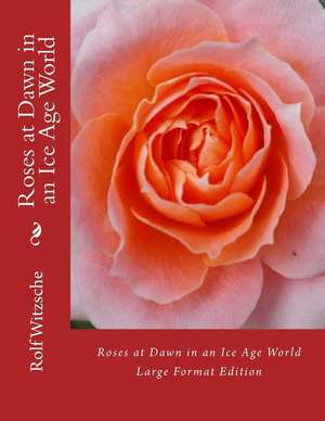 Roses at Dawn in an Ice Age World (Large) de Rolf A. F. Witzsche