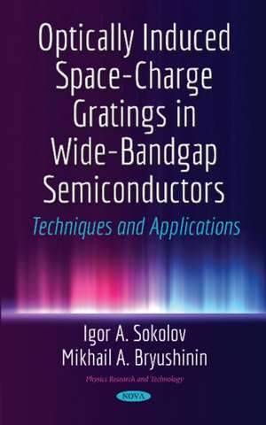 Optically Induced Space-Charge Gratings in Wide-Bandgap Semiconductors: Techniques & Applications de Igor A Sokolov