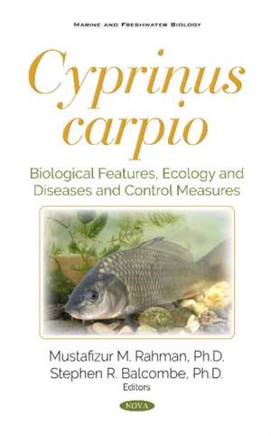 Cyprinus carpio