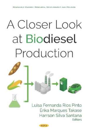 Closer Look at Biodiesel Production