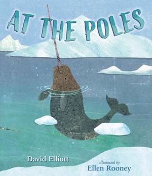 At the Poles de David Elliott