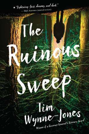 The Ruinous Sweep de Tim Wynne-Jones