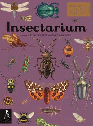 Insectarium de Dave Goulson