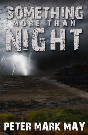 Something More Than Night de Peter Mark May