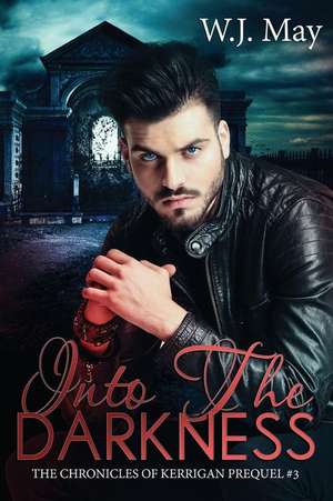 Into the Darkness de W. J. May