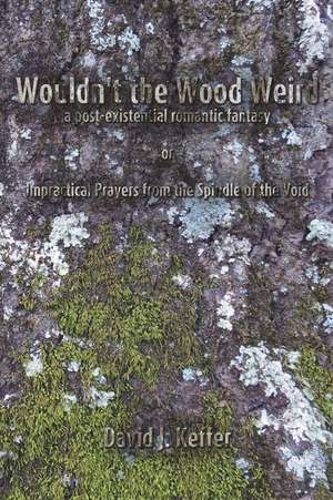 Wouldn't the Wood Weird de David J. Keffer