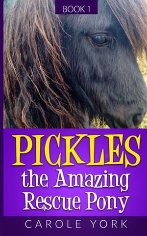 Pickles the Amazing Rescue Pony de MS Carole York