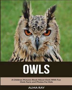 Owls de Alma Ray