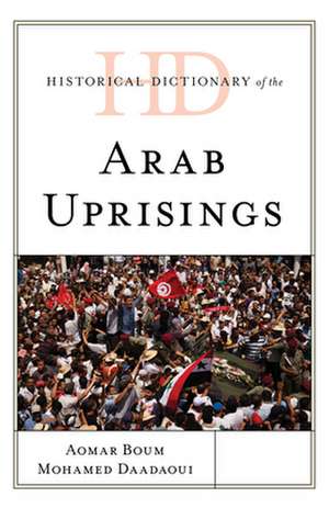 HD OF THE ARAB UPRISINGS de Mohamed Daadaoui