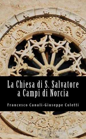 La Chiesa Di San Salvatore a Campi Di Norcia de Francesco Canali