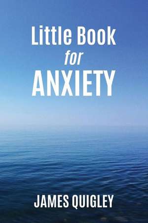 Little Book for Anxiety de James Quigley