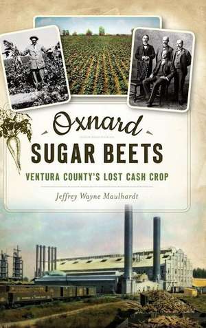 Oxnard Sugar Beets de Jeffrey Maulhardt