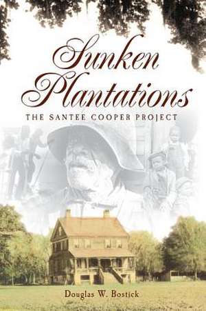 Sunken Plantations de Douglas W. Bostick